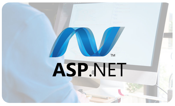 .Net Development Company